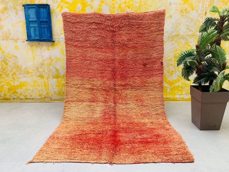 Orange rug 13