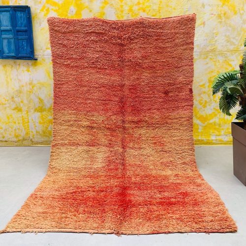 Orange rug 13 1137e65c 893e 405d 82b1 2f03f2ace435