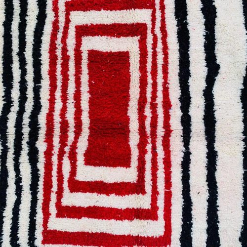 berber rug 4 15a93754 a84a 4099 a9f4 2a257d1466f0