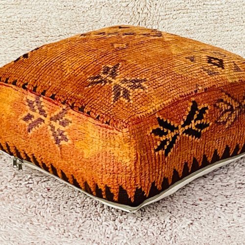 floor throw pillow 1 f8ccda2b d656 4d19 95e9 a4e0bb8e9f64