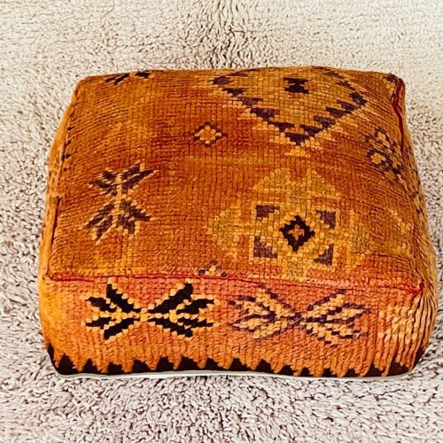 floor throw pillow 2 ddc36d51 247c 4f21 8961 8b4cb4e438a5